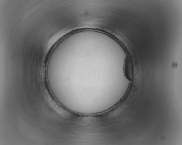 X0000111611077200908141248
