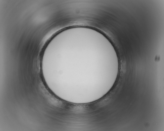 X0000111611078200908141248