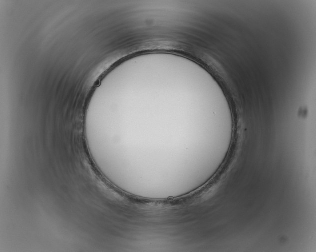 X0000111611081200908141248