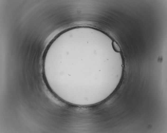 X0000111611082200908141248