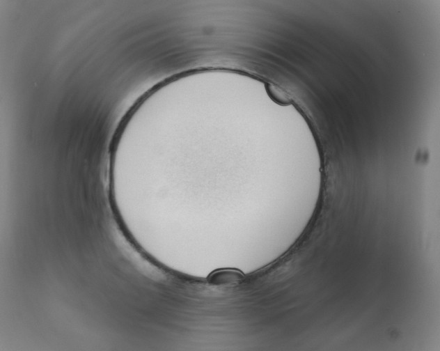 X0000111611084200908141248
