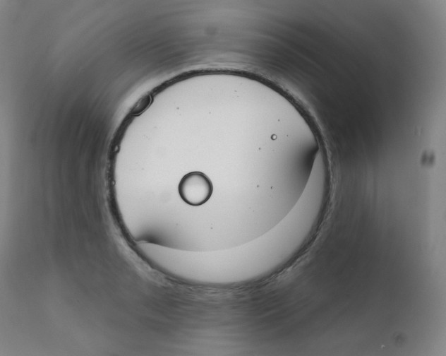 X0000111611085200908141248