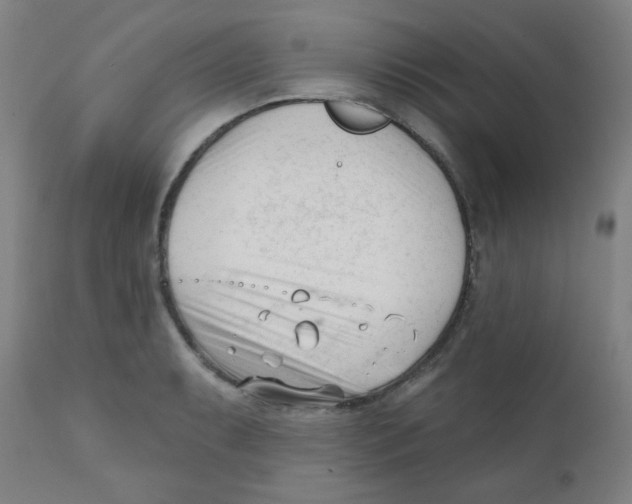 X0000111611087200908141248