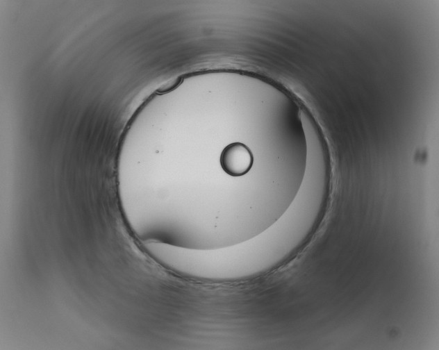 X0000111611089200908141248