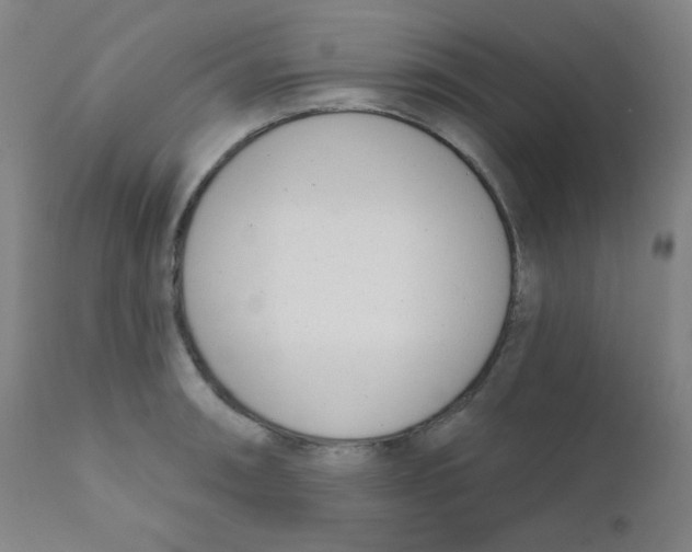 X0000111611090200908141248