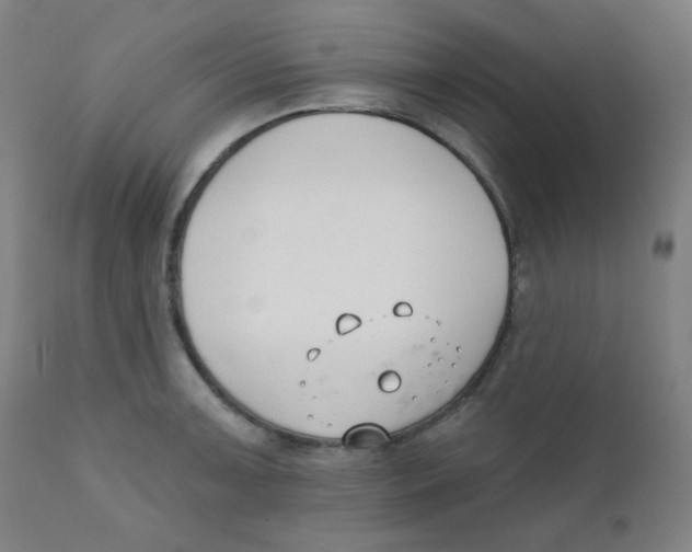 X0000111611091200908141248