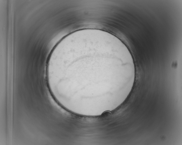 X0000111611095200908141248