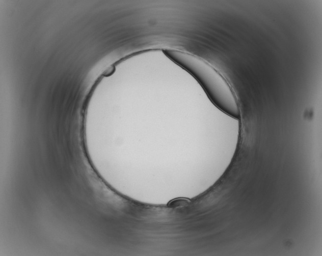 X0000111611096200908141248