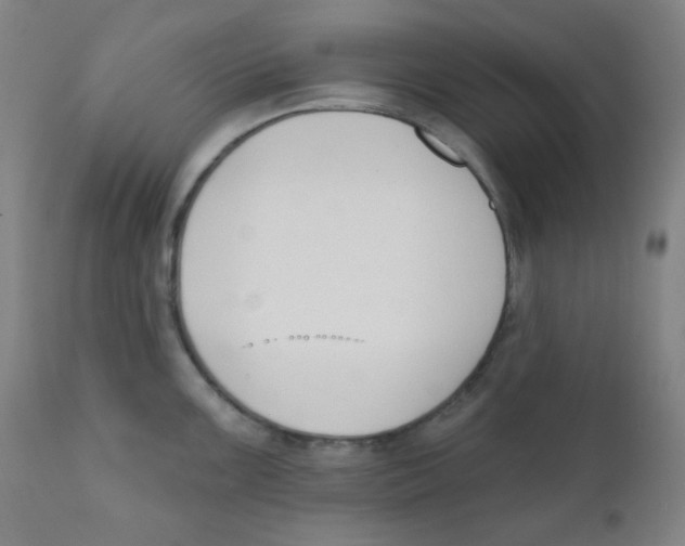 X0000111611099200908141248