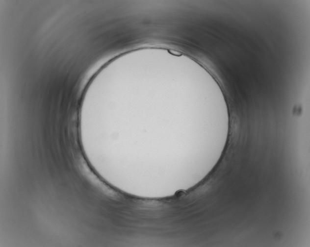 X0000111611100200908141248