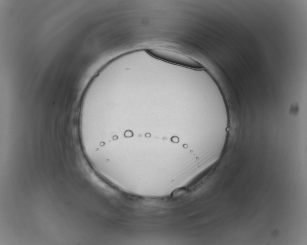 X0000111611102200908141248