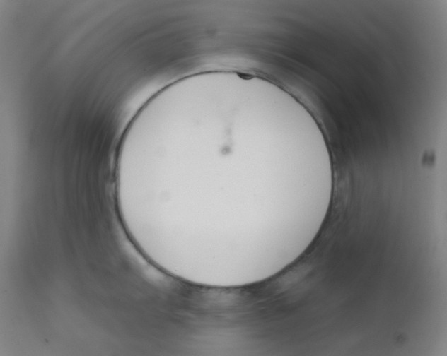 X0000111611103200908141247