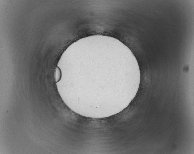 X0000111611105200908141247