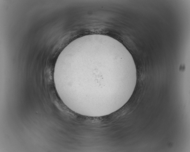 X0000111611106200908141247