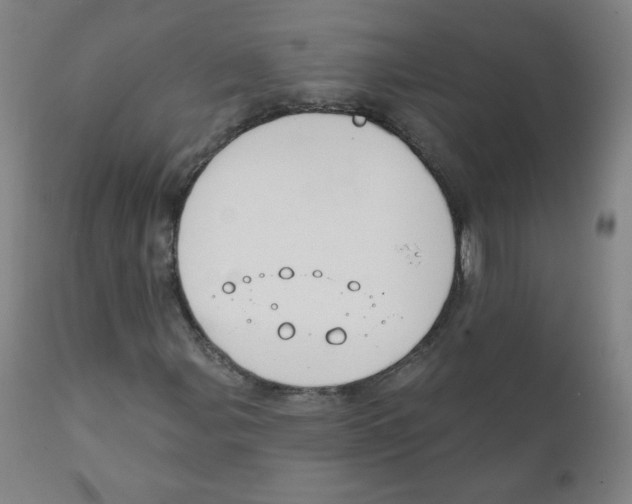 X0000111611107200908141247