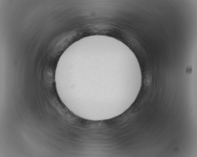 X0000111611108200908141247