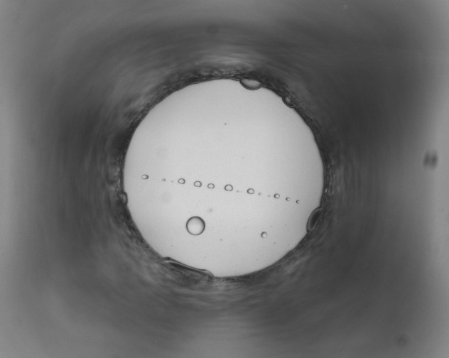X0000111611109200908141247