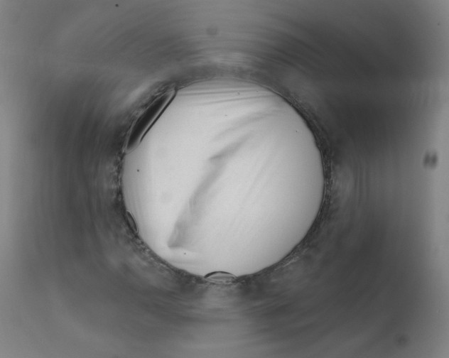 X0000111611110200908141247
