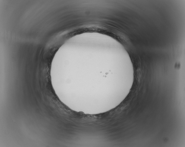 X0000111611111200908141247