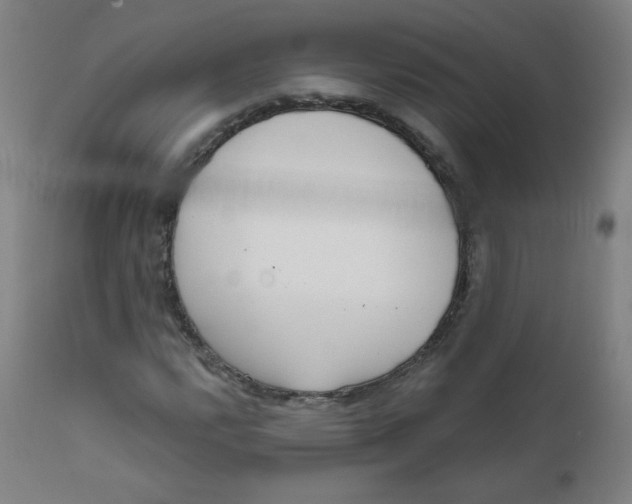 X0000111611112200908141247
