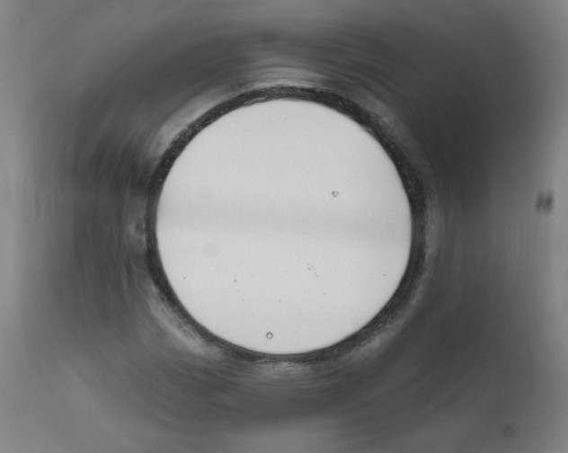X0000111611113200908141247