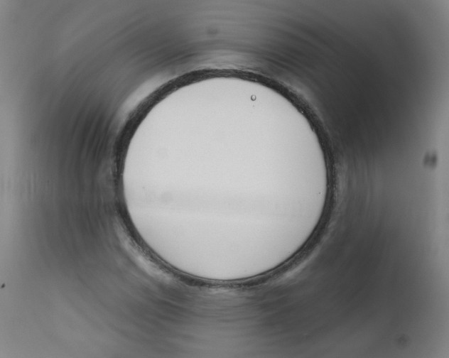 X0000111611114200908141247