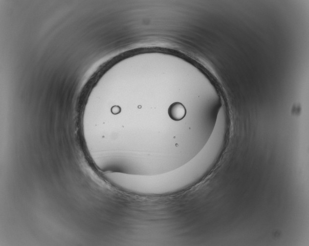 X0000111611116200908141247