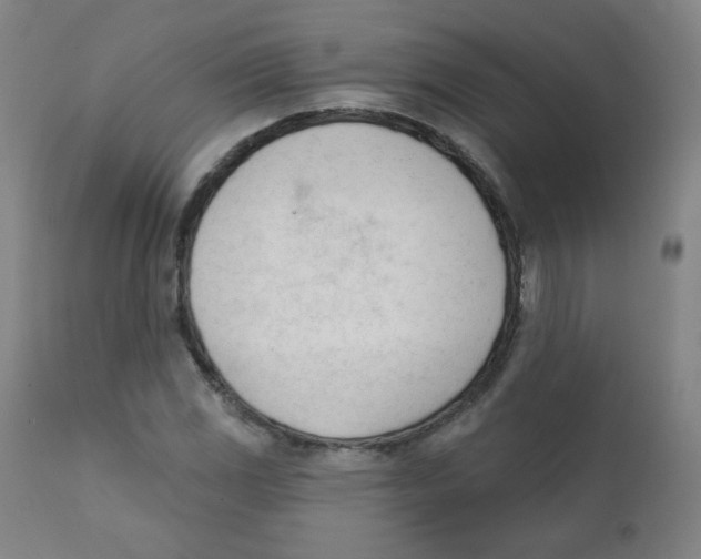 X0000111611117200908141247