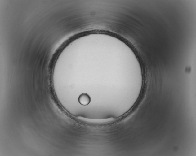 X0000111611118200908141247