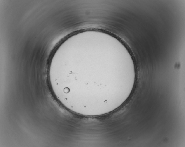 X0000111611119200908141247