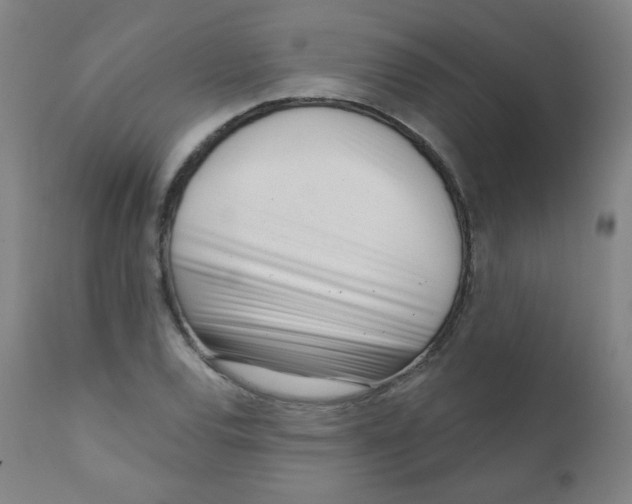 X0000111611120200908141247