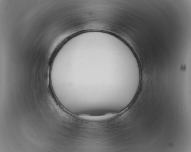 X0000111611123200908141247