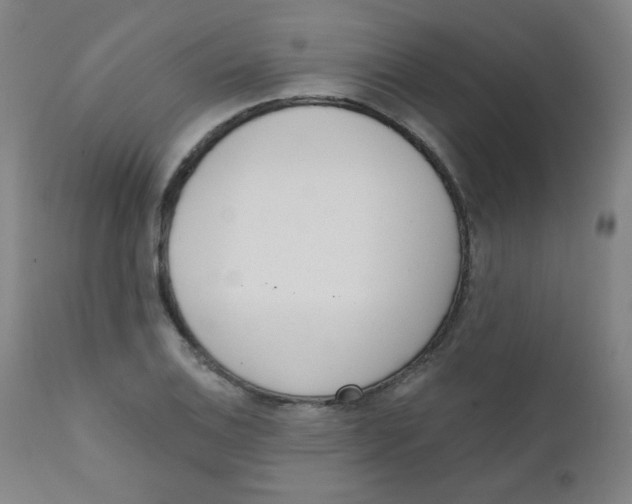 X0000111611124200908141247