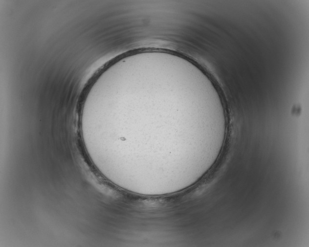 X0000111611125200908141247