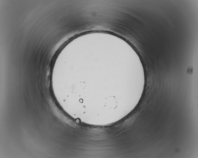 X0000111611126200908141247