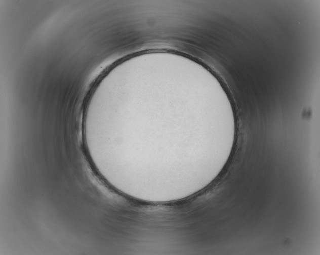 X0000111611127200908141247