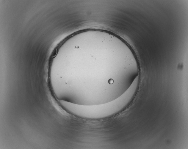 X0000111611128200908141247