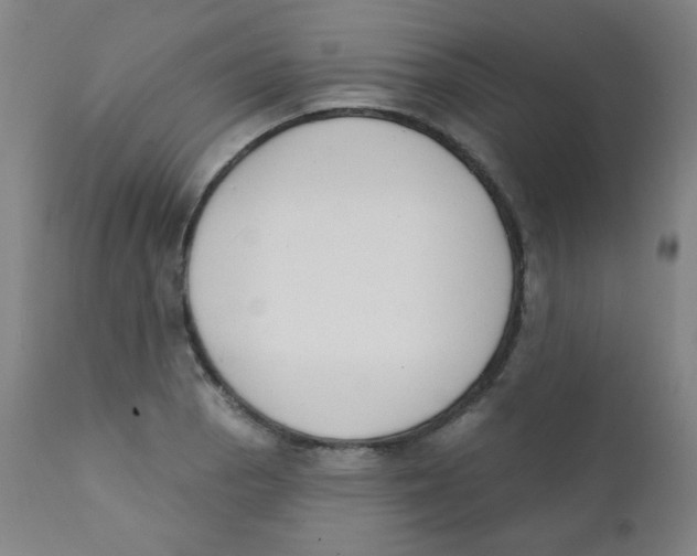 X0000111611129200908141247