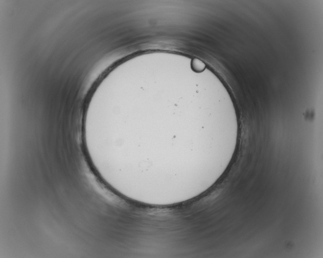 X0000111611131200908141247