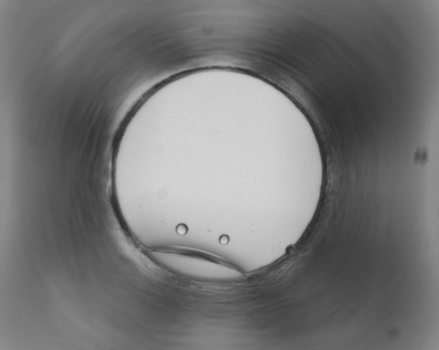 X0000111611132200908141247