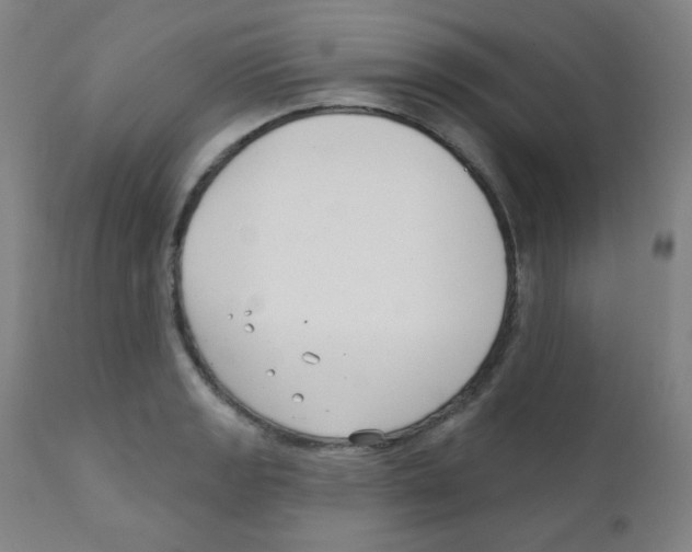 X0000111611133200908141247