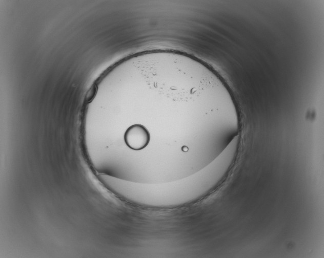 X0000111611134200908141247
