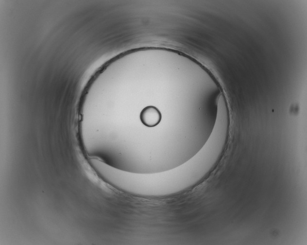 X0000111611136200908141247
