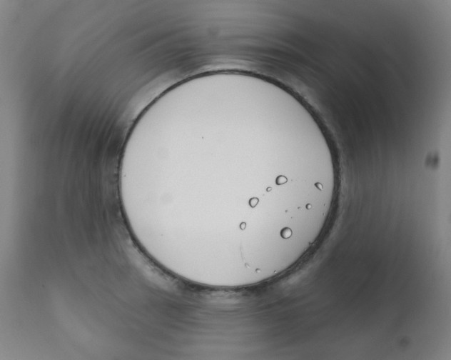 X0000111611137200908141247