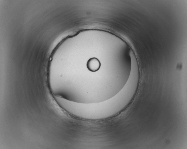 X0000111611138200908141247