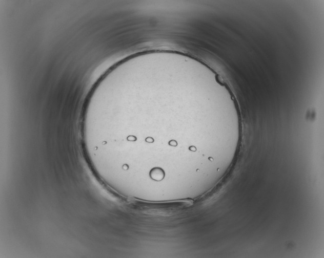 X0000111611141200908141247