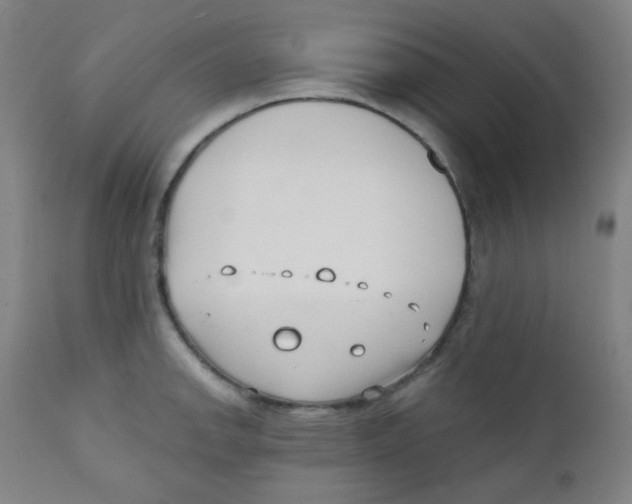 X0000111611142200908141247