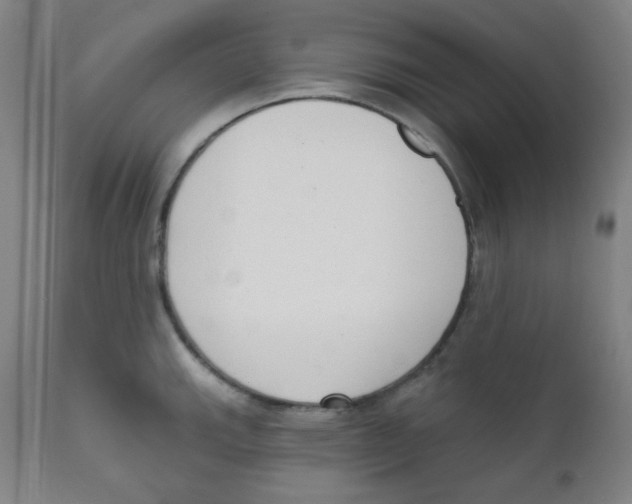 X0000111611143200908141247