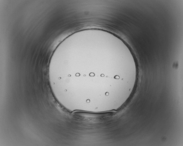 X0000111611145200908141247