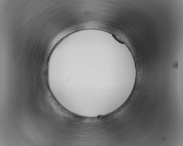 X0000111611146200908141247